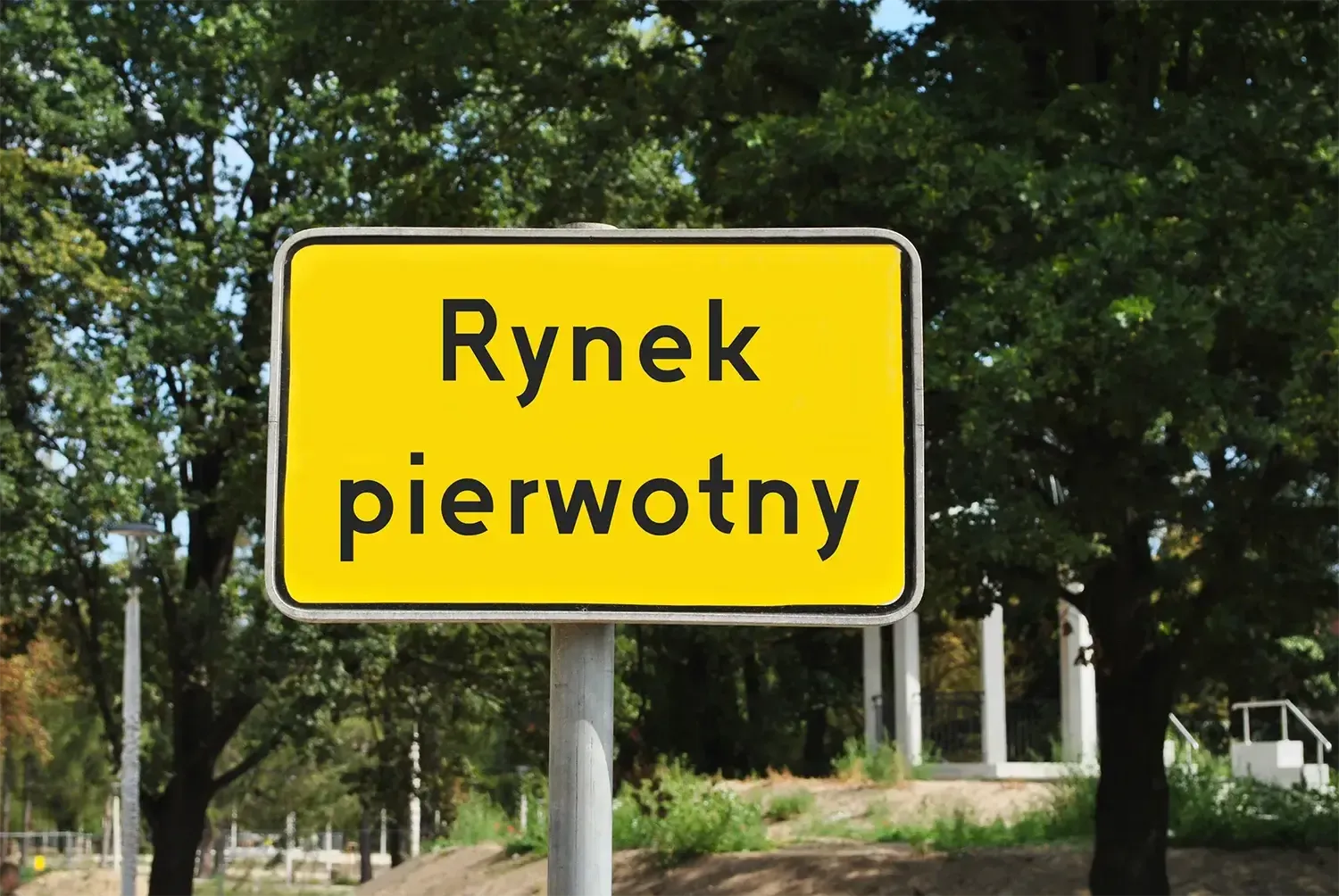 3 mity o rynku pierwotnym